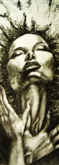 The Drawings