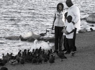 The Family
